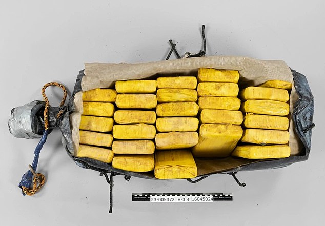 Albanian smuggling gangs use professional frogmen to recover hidden cocaine from cargo ships arriving in European ports