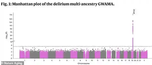 UK researchers discover that the APOE4 gene increases the risk of delirium in seniors and threatens long-term brain health