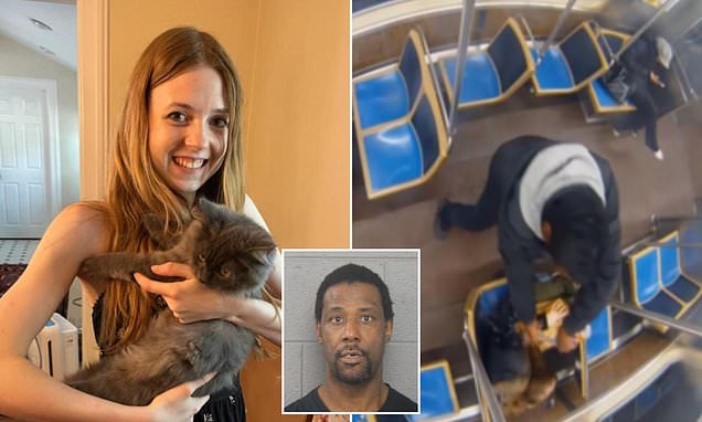 Witnesses narrate how a random encounter on a Chicago train turned into terror when a serial offender set a 26-year-old Indiana woman ablaze