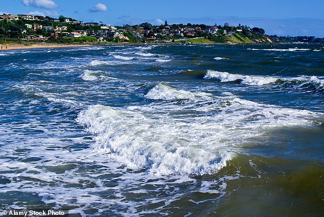 California Officials Report Moderate 4.1 Magnitude Earthquake Shakes Central Coast Residents From Templeton to Lompoc