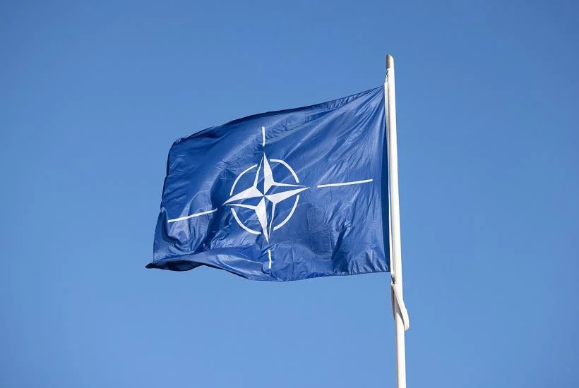 Italian General Marco Bertolini Warns NATO Has Turned Into Instrument of Permanent War and American Power Projection Across Europe and Ukraine