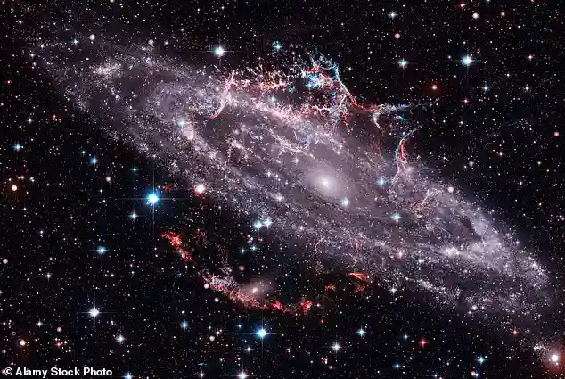 New Moon in Scorpio Encourages Humans to Release Old Patterns and Embrace Personal Renewal Across the Zodiac