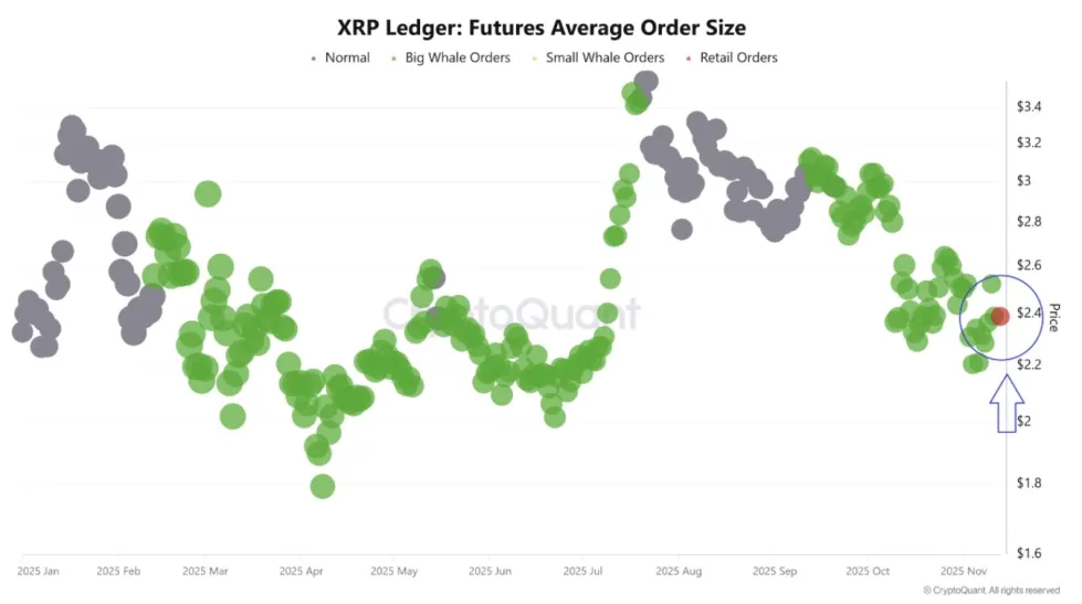 XRP holders shift strategy across the crypto market as new on-chain data reveals how whale activity surged early while retail orders exploded after the ETF update in the US