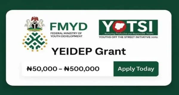 The Nigerian government reopens YEIDEP registration to give young entrepreneurs grants and training across the country